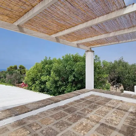 別荘 Marcheddu Off